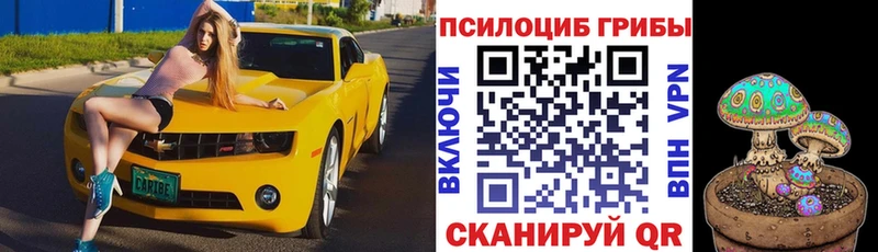 Галлюциногенные грибы мицелий  Калач 